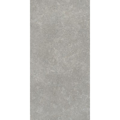 Керамогранит K948634R0001VTER SandStone Серый Матовый R10A Ректификат 60х120