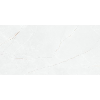 Керамогранит P8AA0LNAA0H1SO Anil White Polished Rect 60х120