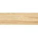 Плитка WT93WOS11 Woodstyle Elm 300x900x10,5