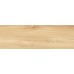 Плитка WT93WOS11 Woodstyle Elm 300x900x10,5