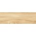Плитка WT93WOS11 Woodstyle Elm 300x900x10,5