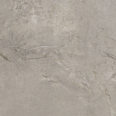 Керамогранит SKA2 Silver Grey Silk RT 120x120