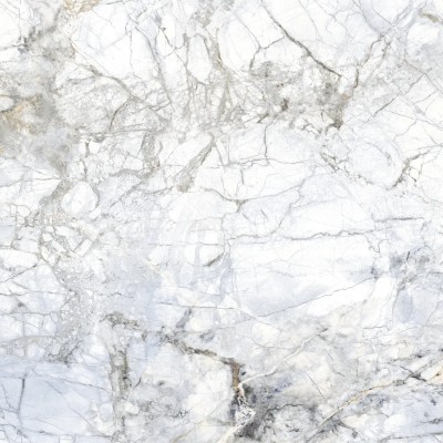 Керамогранит 27511 Supreme White SP/R 100x100