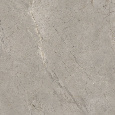 Керамогранит SKA2 Silver Grey Silk RT 120x120