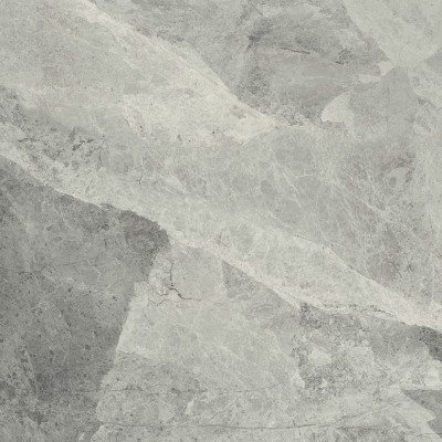 Керамогранит 610010001190 Charme Extra Silver Nat Ret 60x60