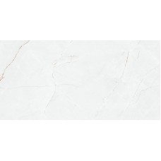 Керамогранит P8AA0LNAA0H1SO Anil White Polished Rect 60х120