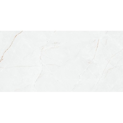 Керамогранит P8AA0LNAA0H1SO Anil White Polished Rect 60х120