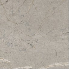 Керамогранит SKA2 Silver Grey Silk RT 120x120