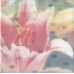 Плитка NT/A97/5155 Весеннее шоу Лилия 20*20