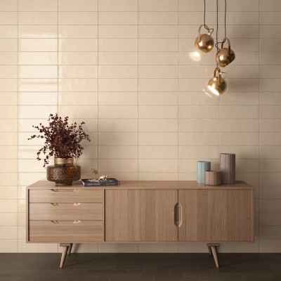 Плитка 21531 Country Blanco Gloss 6,5x20