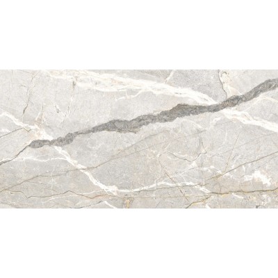 Керамогранит PF60017241 Supreme Hedonism Silver Roots Lux 3D R 60x120