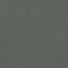 Керамогранит DD173500R Про Чементо зелёный матовый обрезной 40,2x40,2