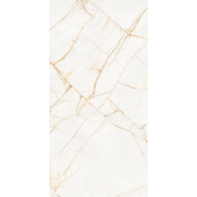 Керамогранит PF60017518 Supreme Hedonism Golden Spider Nat R 60x120