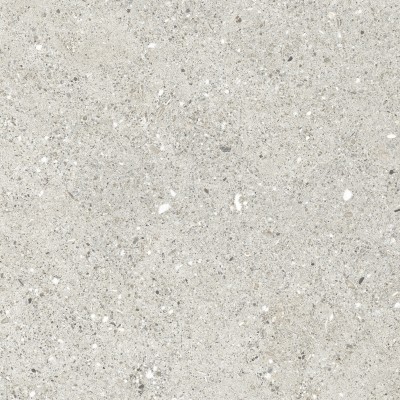 Керамогранит CR6060G0461R Granito Grigio серый матовый 59,5х59,5