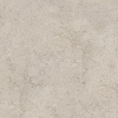 Керамогранит 100348026 Dorcia Acero L 120x120