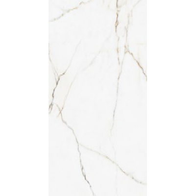 Керамогранит 00-00000245 Calcatta Montreal Polish 60х120