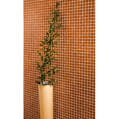 Мозаика KM3030M0001N Темари зелёный матовый 29,8x29,8x0,35