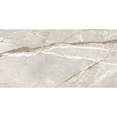 Керамогранит PF60017241 Supreme Hedonism Silver Roots Lux 3D R 60x120