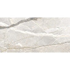 Керамогранит PF60017241 Supreme Hedonism Silver Roots Lux 3D R 60x120