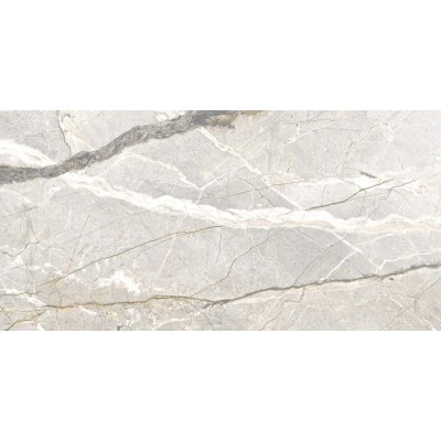 Керамогранит PF60017241 Supreme Hedonism Silver Roots Lux 3D R 60x120