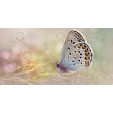 Плитка 08-05-23-371-1 Мечта Бабочка 40х20