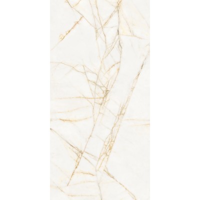 Керамогранит PF60017518 Supreme Hedonism Golden Spider Nat R 60x120