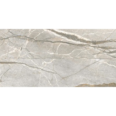 Керамогранит PF60017241 Supreme Hedonism Silver Roots Lux 3D R 60x120