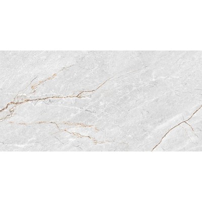 Плитка GT136VG Aventura Серый 50x25