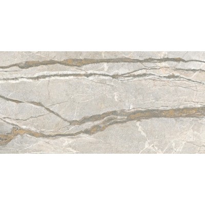 Керамогранит PF60017241 Supreme Hedonism Silver Roots Lux 3D R 60x120
