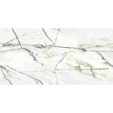 Керамогранит N40012 Calacatta Green (Book) Polished 60x120