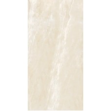 Керамогранит 247 DIANA 60x120