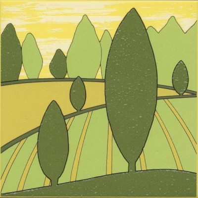 Плитка VT/A555/5109 Бардини 3 20x20