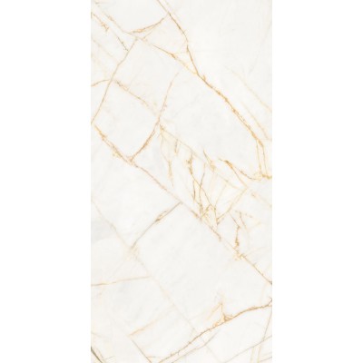 Керамогранит PF60017518 Supreme Hedonism Golden Spider Nat R 60x120