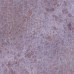 Плитка 42608 Dyroy Aubergine 10x10x0,85