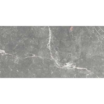 Плитка GT99VG Capella Серый 50x25