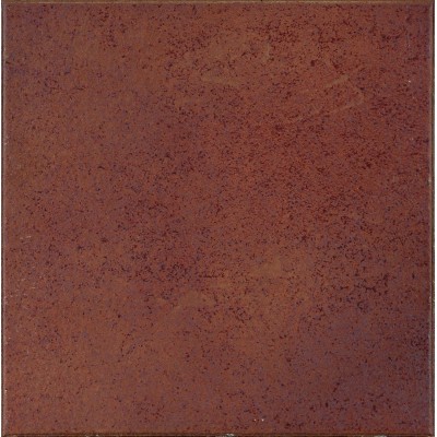 Клинкерная плитка 902830 Classic Parma 25x25