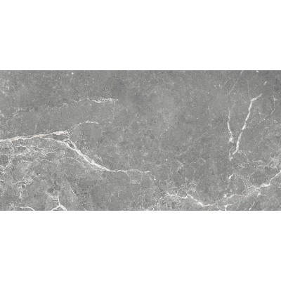 Плитка GT99VG Capella Серый 50x25