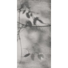 Керамогранит PF60012582 Art Walls Shadow Nat R 60x120