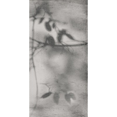 Керамогранит PF60012582 Art Walls Shadow Nat R 60x120