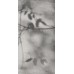 Керамогранит PF60012582 Art Walls Shadow Nat R 60x120