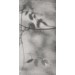 Керамогранит PF60012582 Art Walls Shadow Nat R 60x120