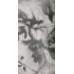Керамогранит PF60012582 Art Walls Shadow Nat R 60x120