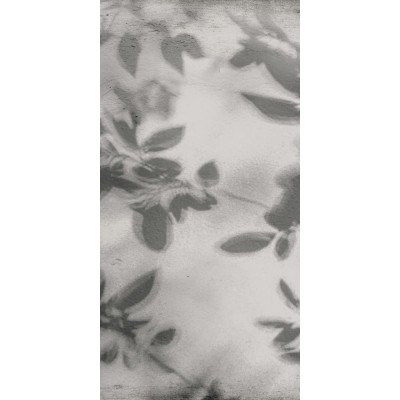 Керамогранит PF60012582 Art Walls Shadow Nat R 60x120