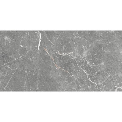 Плитка GT99VG Capella Серый 50x25