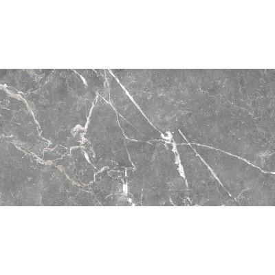 Плитка GT99VG Capella Серый 50x25