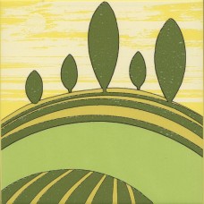 Плитка VT/A553/5109 Бардини 1 20x20