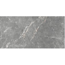 Плитка GT99VG Capella Серый 50x25