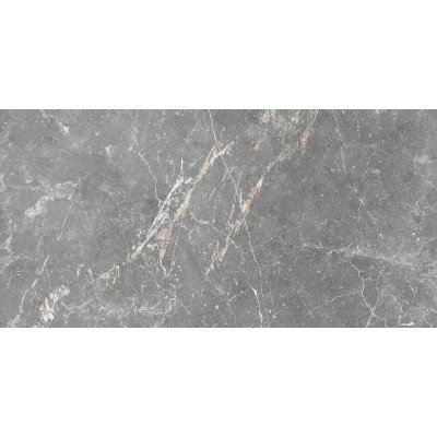 Плитка GT99VG Capella Серый 50x25