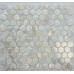 Мозаика PIX751 Мозаика из натурального перламутра HEX25 285х295x2