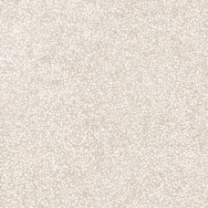 Керамогранит 010400000968 Эфа бежевый КГ 02 40х40